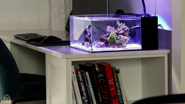 Flat 12 Shallow Aquarium