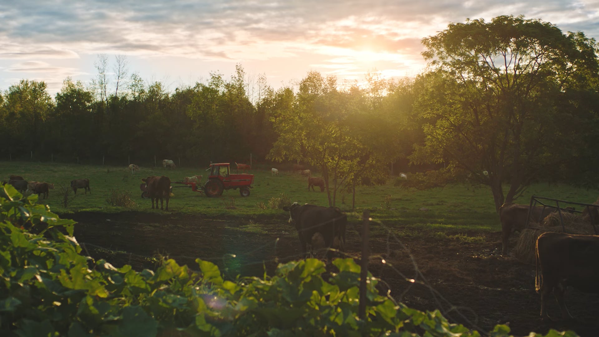 MANITOULIN - Shipping Your World