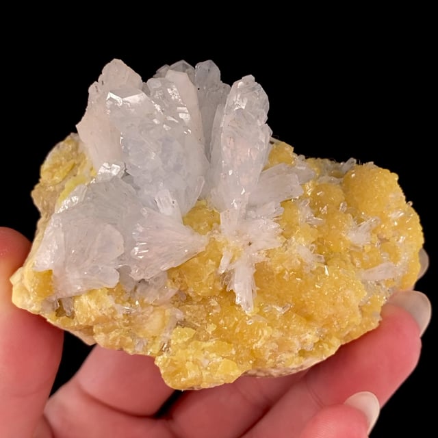 Celestine on Sulfur