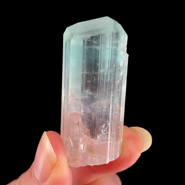 Tourmaline (GEMMY bi-color crystal)