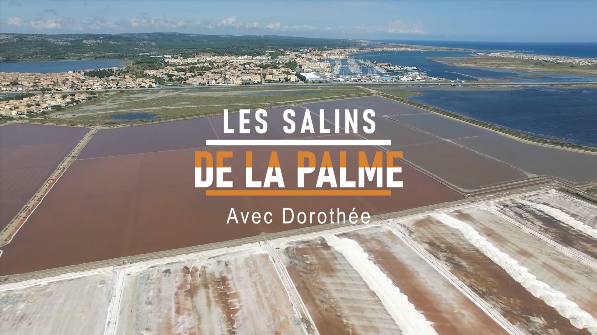 Les Salins de la Palme - Magazine TV