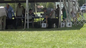 Black Russian Terrier Dog Show - Dorchester Ontario -Sunday August 27th 2023 - Show 2