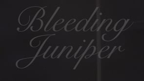 Bleeding Juniper