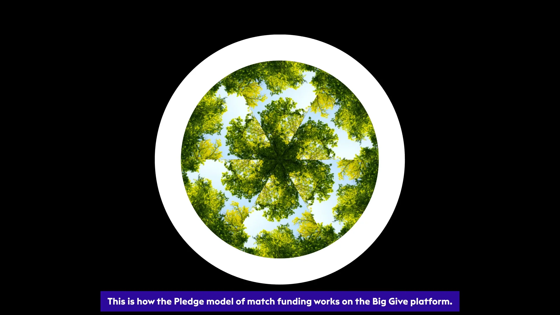 Big Give Pledge Model Explainer