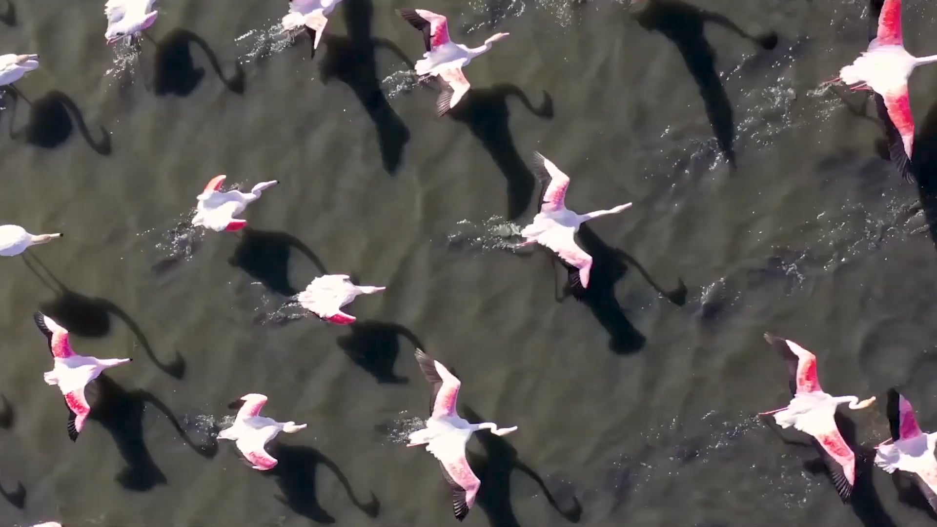 Imagem de apresentação