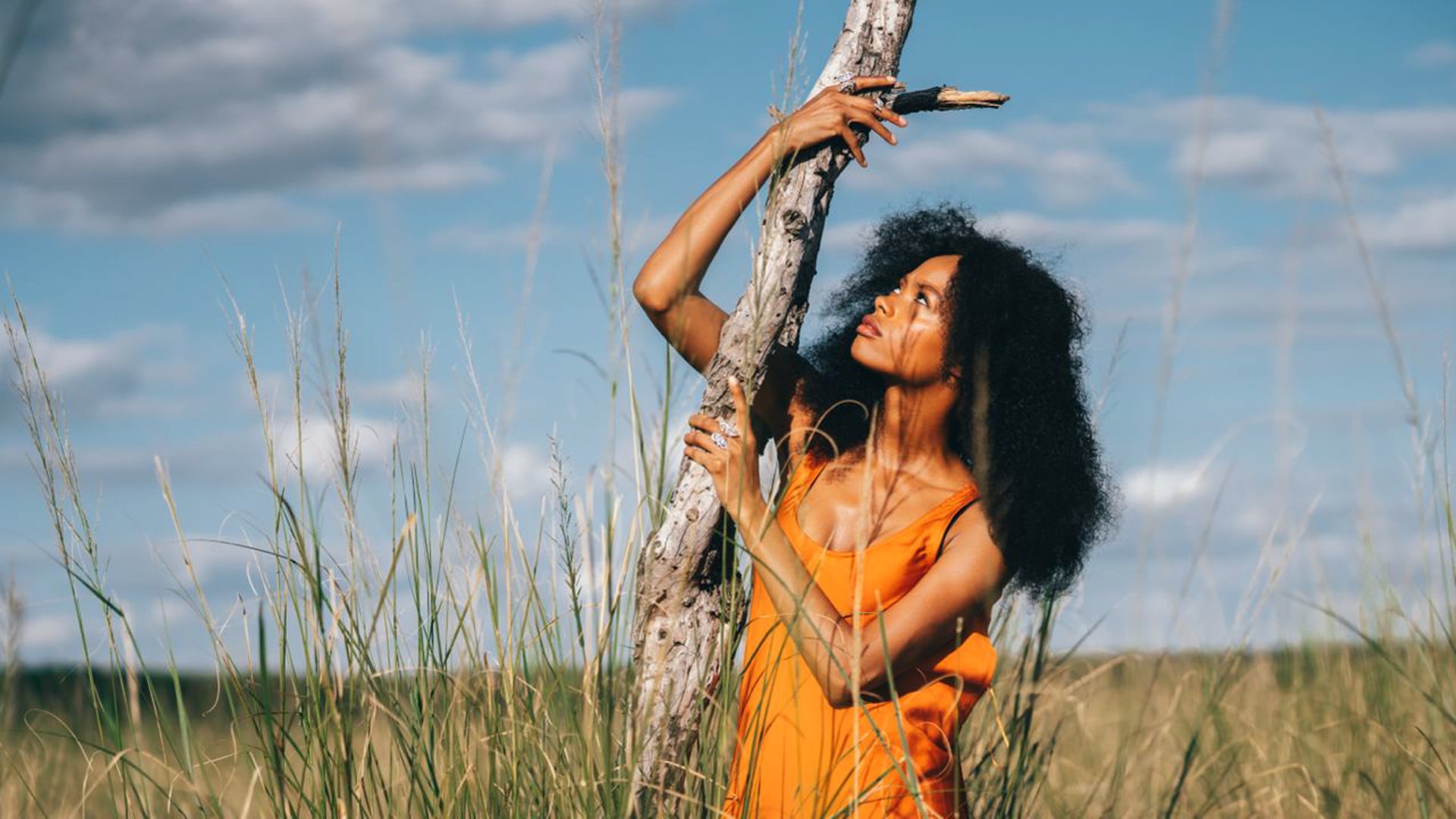 De Beers // portraits of nature