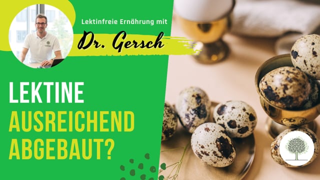 Können eine Wachtel oder ein Huhn Lektine aus ihrem Futter ausreichend abbauen? 