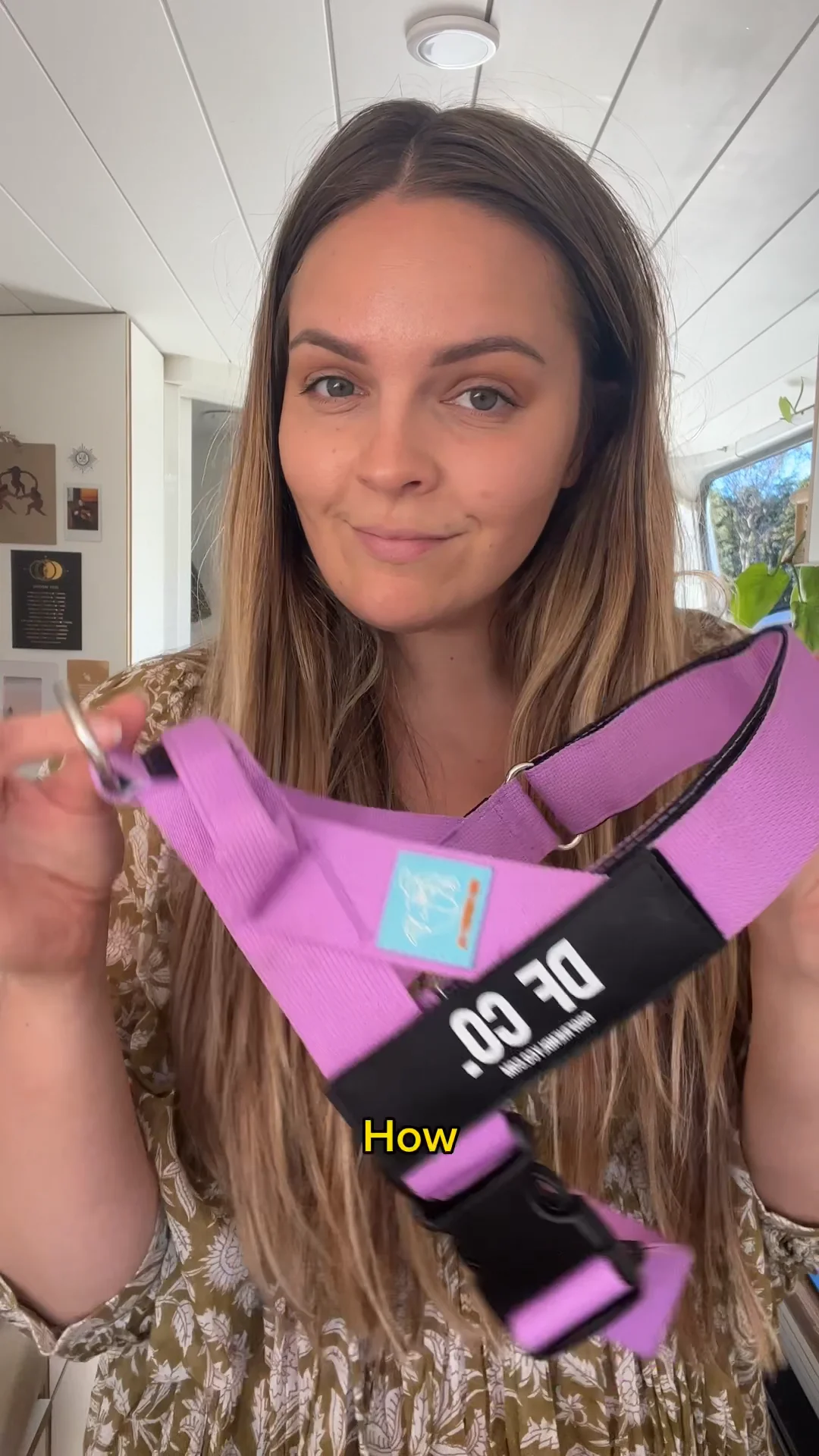 How To Put On Your Dog Friendly Co. Harness on Vimeo