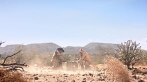 Wasteland_Short Film_Color