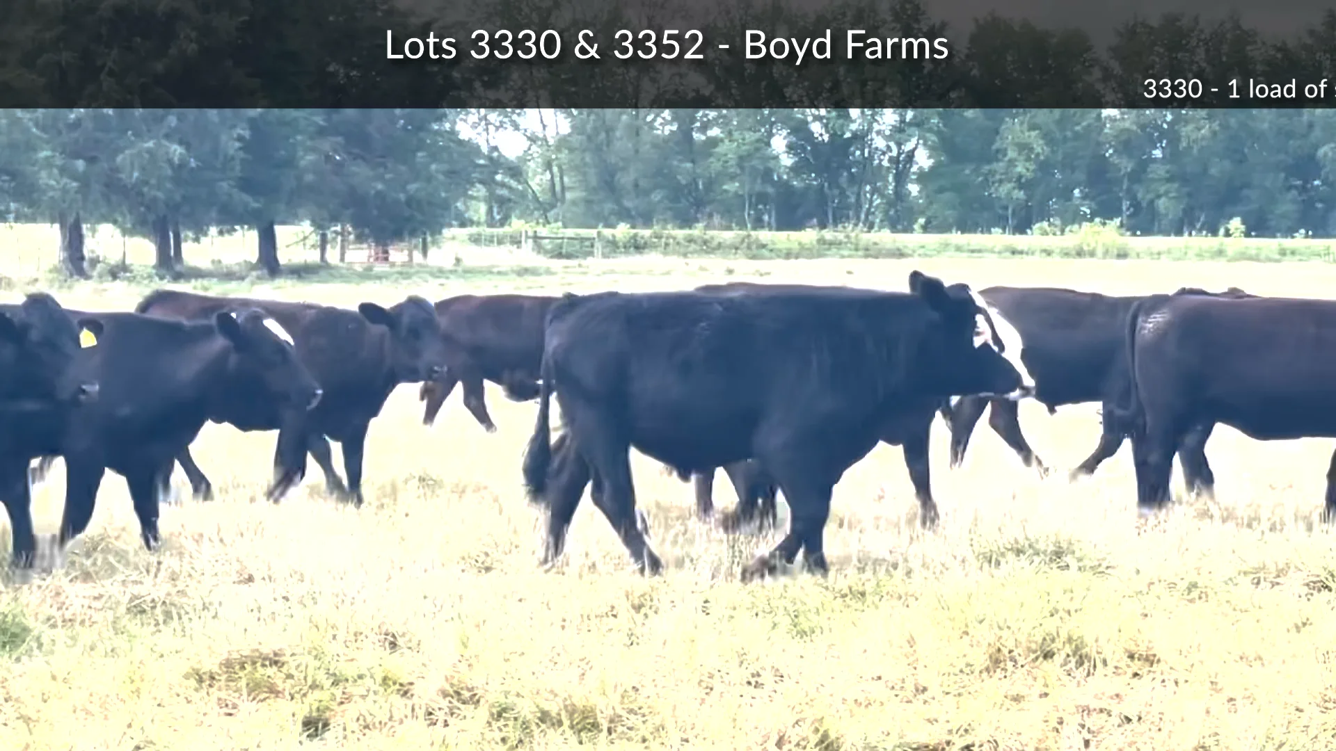 3352 Boyd Farms on Vimeo