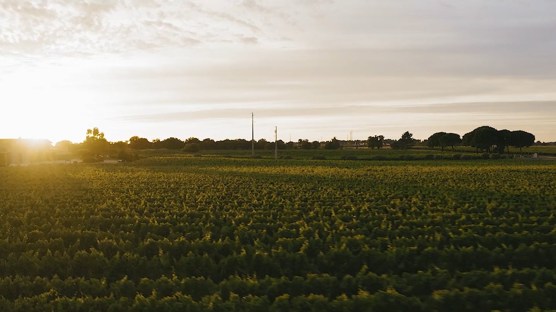Imagem de apresentação