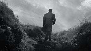 MASSIMO DUTTI  - Men's Collection