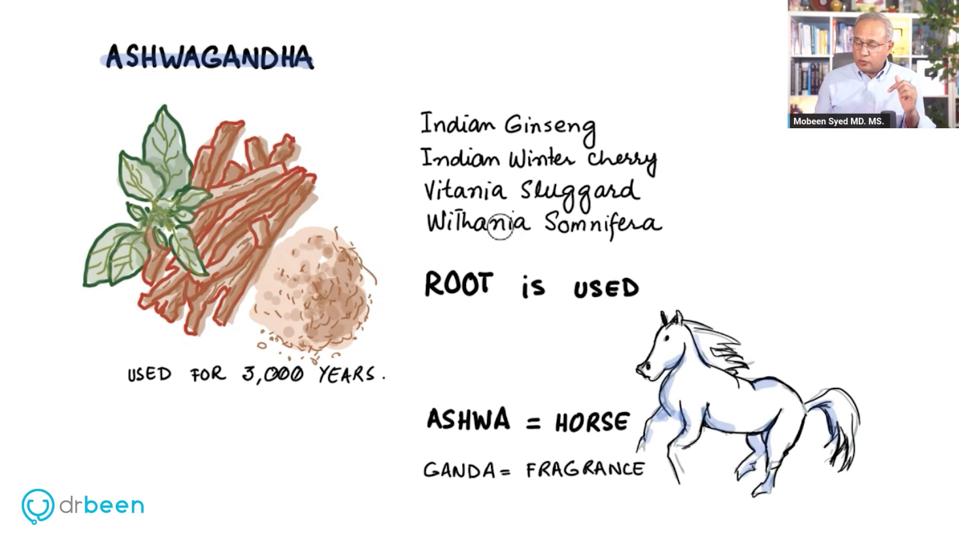 Ashwagandha - Anti-inflammatory Effects