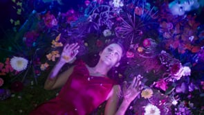 Marion Cotillard Hollywood Heroines From 2012 - Wide-Awake   The New York Times