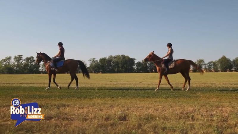 Horses Can Read Facial Expressions | HIS Radio