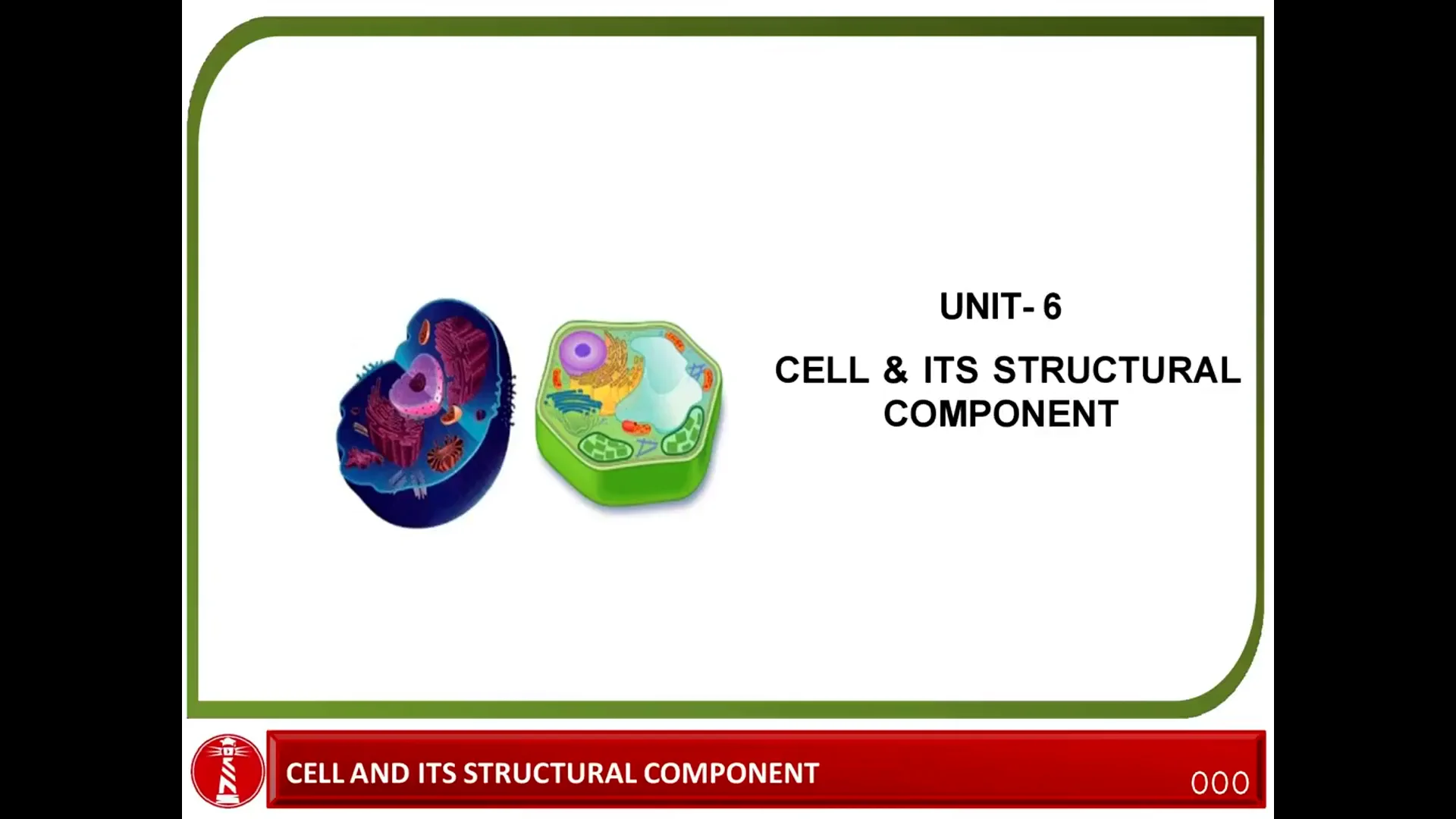 Unit 6 on Vimeo
