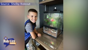 Mom Rescued Son's Lost Frogs