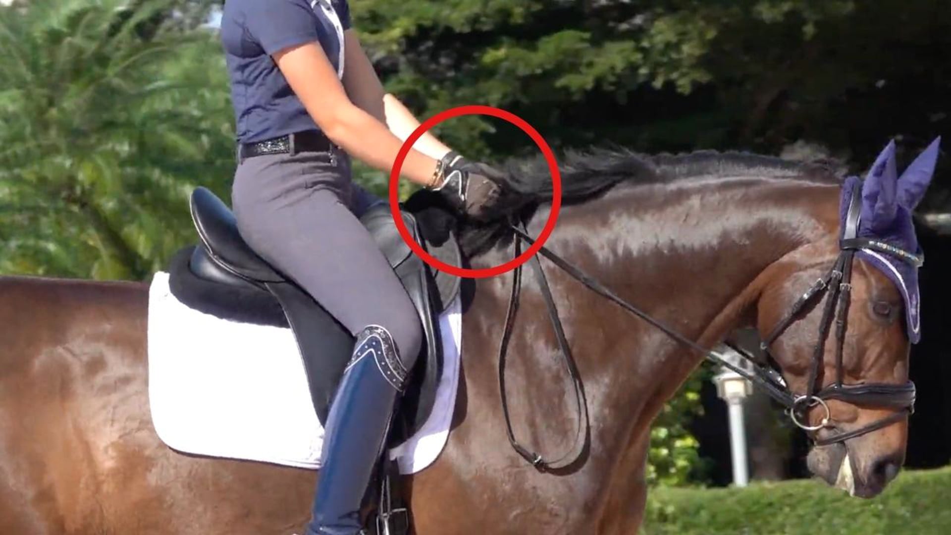 Tips for Keeping Your Hands Still Ridely