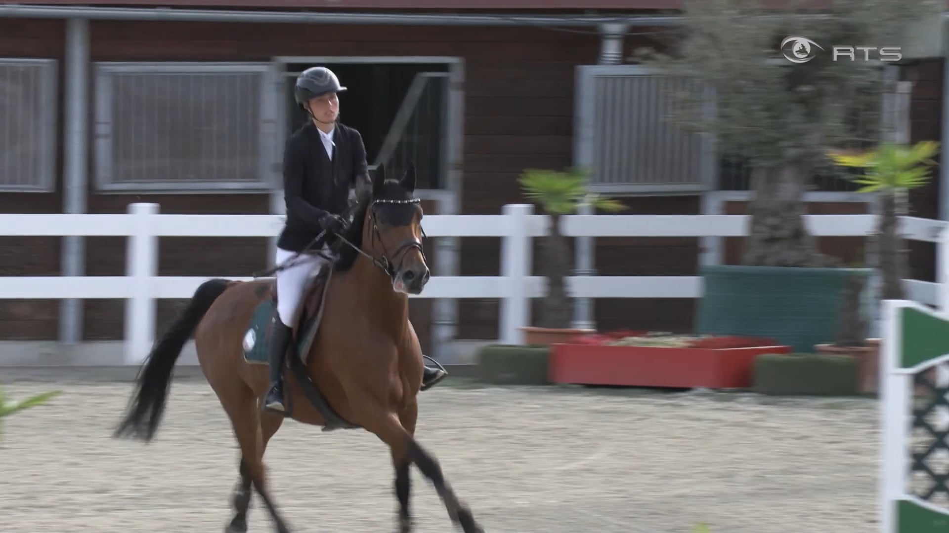 landesmeisterschaften-im-springreiten-in-lamprechtshausen