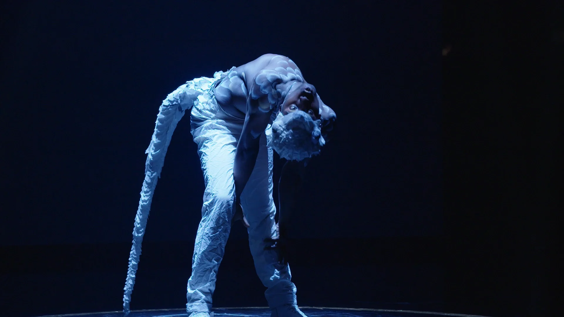 ECHO Promo on Vimeo
