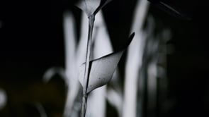 Samuelle green - Protoype Test