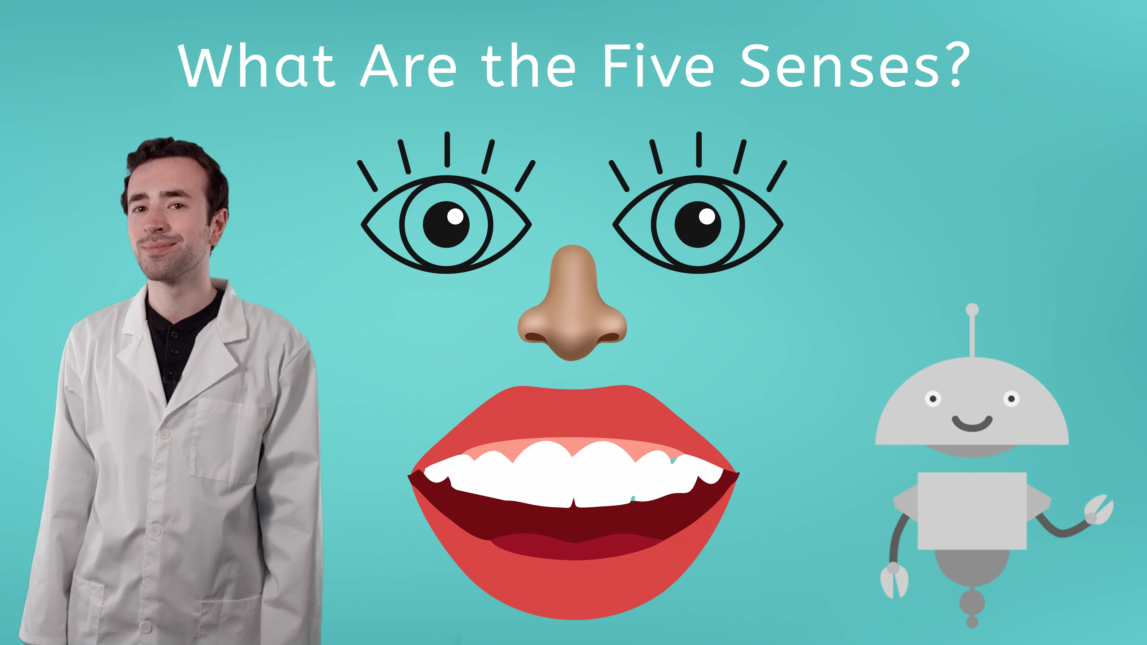 what-are-the-five-senses