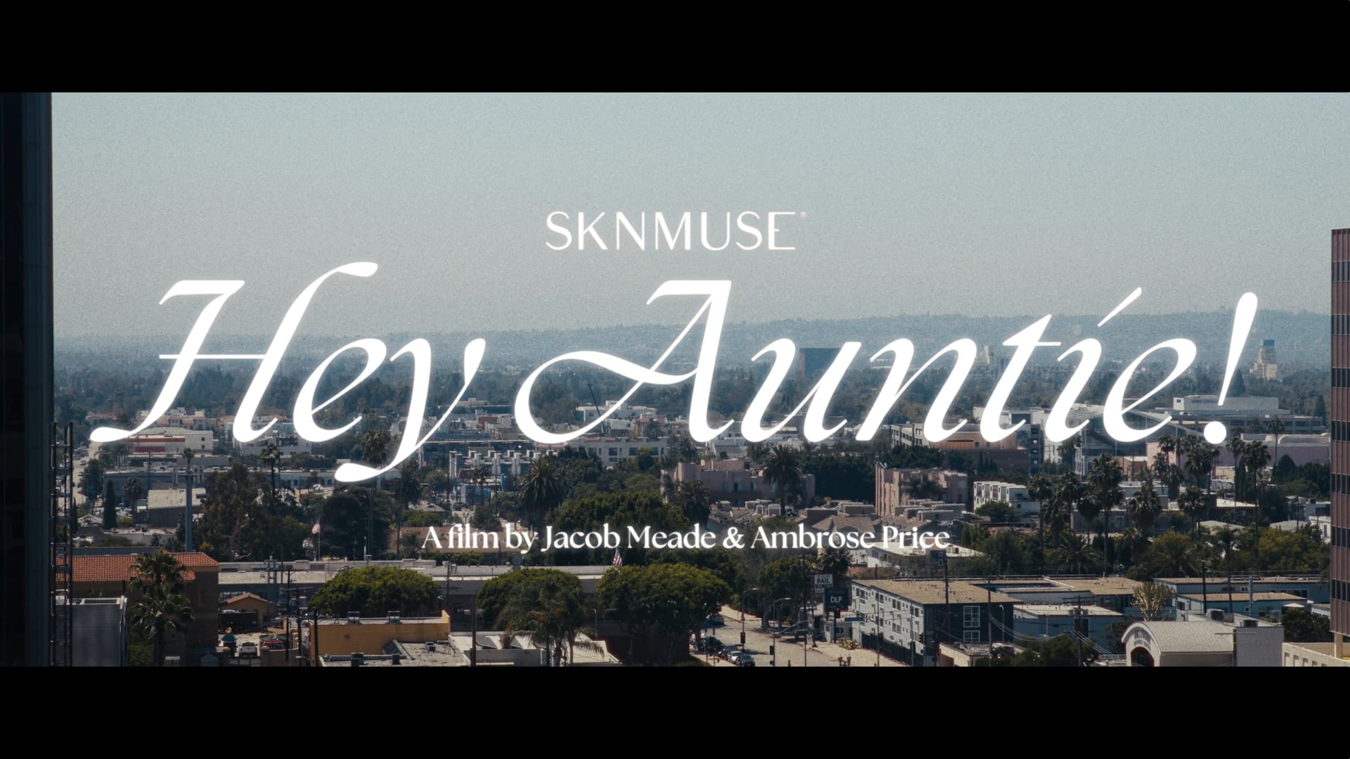 SKNMUSE | Hey Auntie!