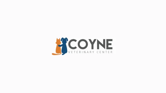 Coyne Animal Hospital St Johns