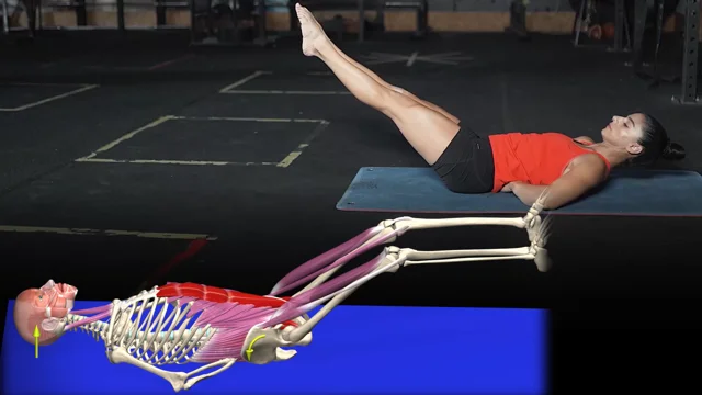 Supine double leg online raise