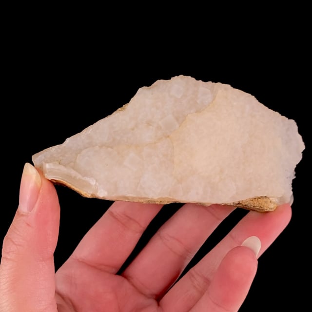 Quartz var: Chalcedony pseudomorph after Aragonite