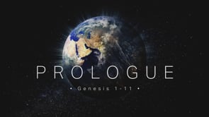 Genesis Series 11/11