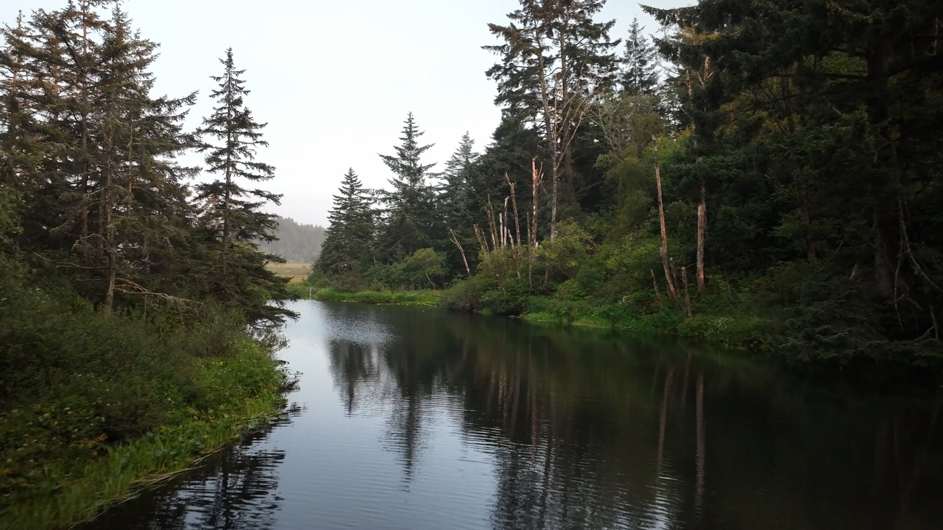 Protect Beaver Creek