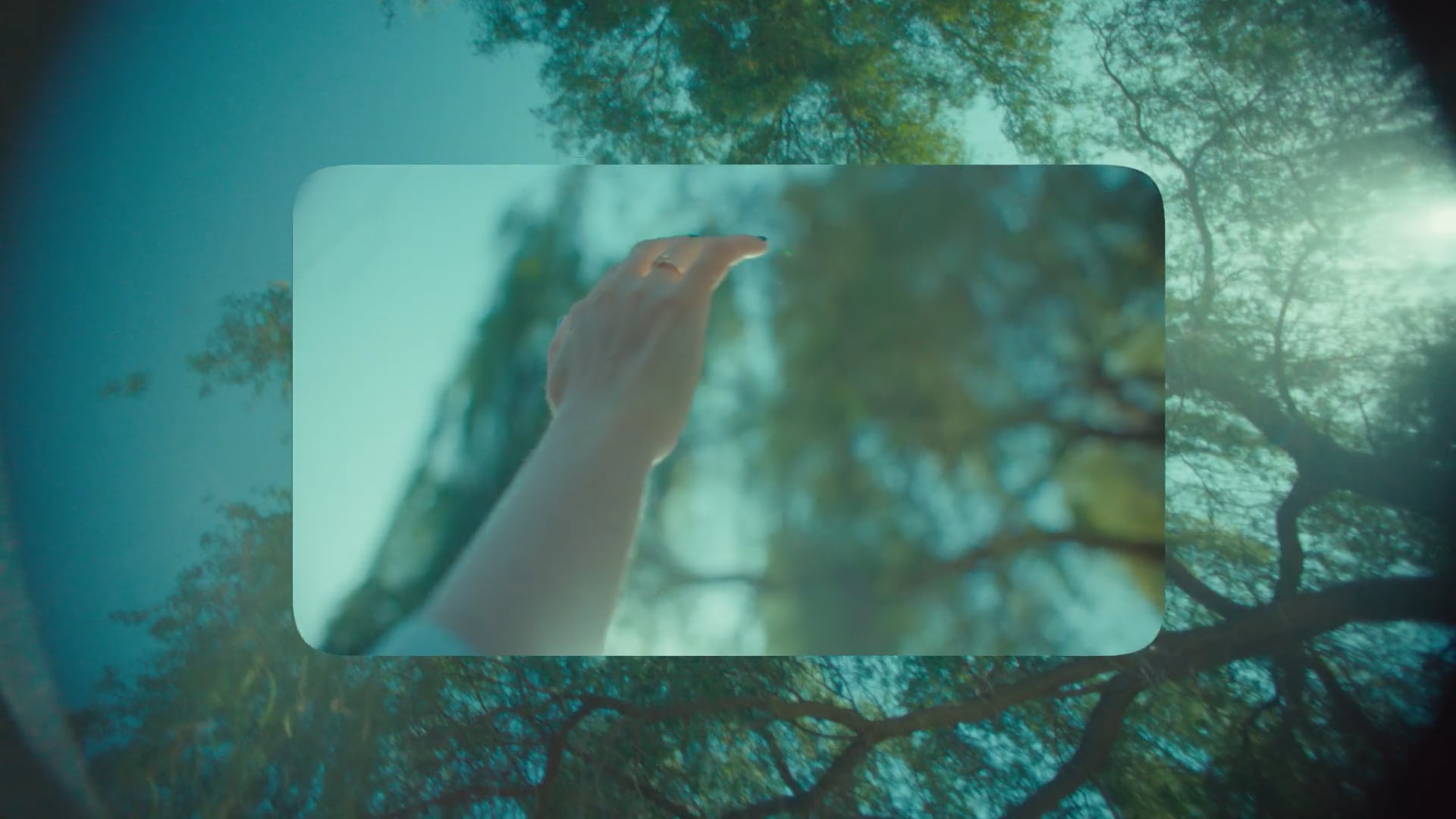 Watsons Dir Cut - Commercial