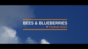 Dr. Bee: Festival Recap