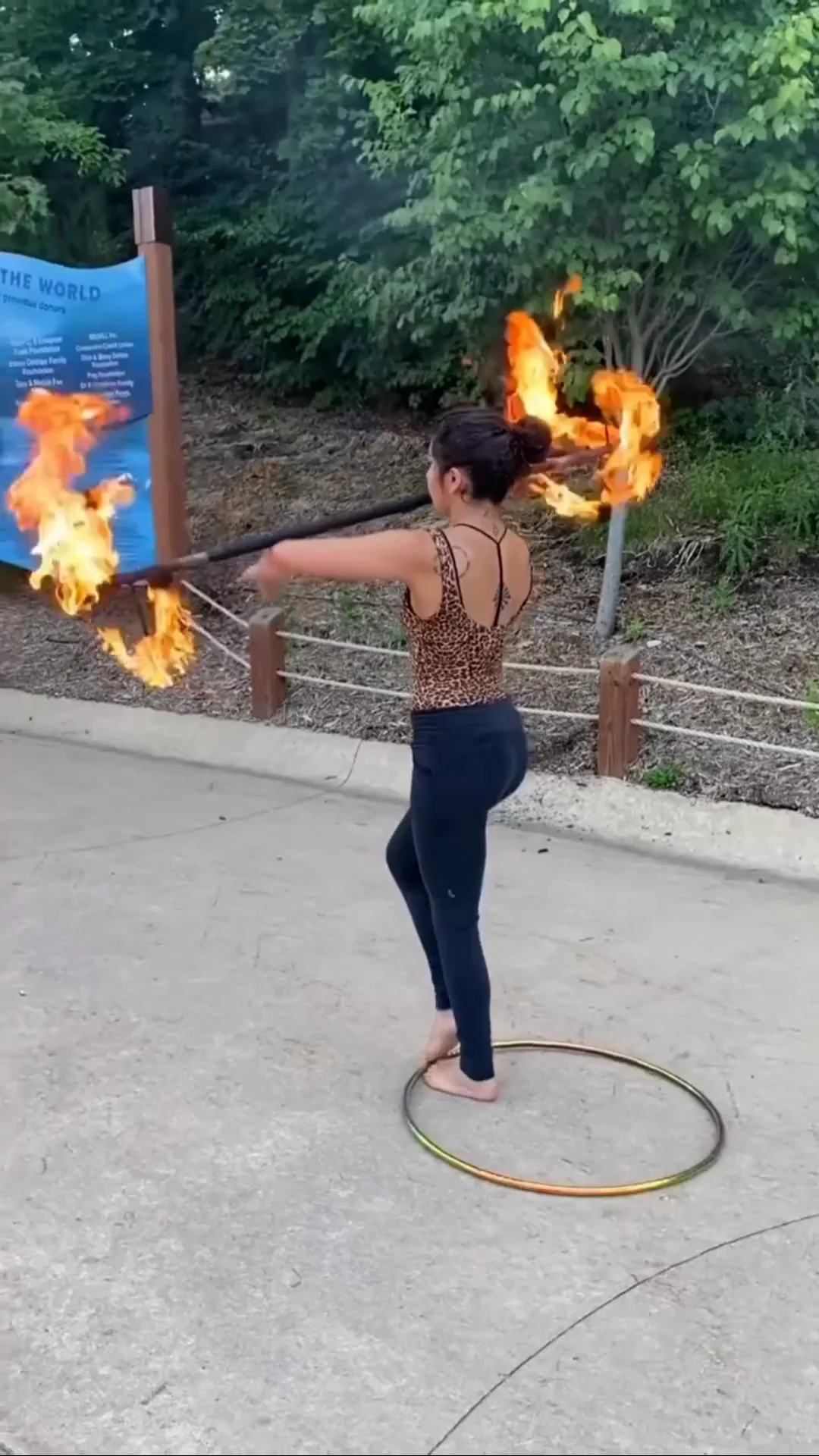 Roaring Nights at John Ball Zoo (Copy) on Vimeo