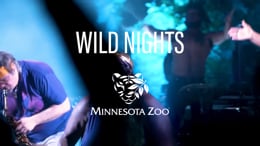 Minnesota Zoo Wild Nights 2023 - Minnesota Zoo