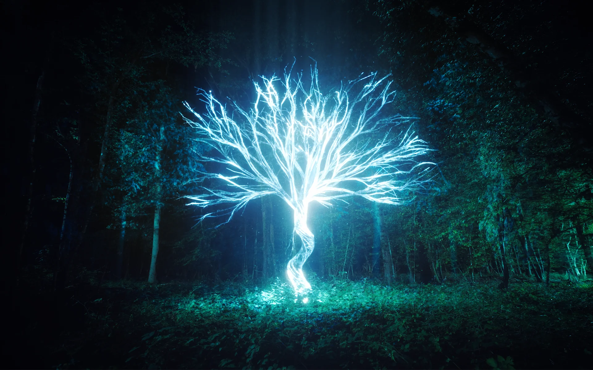 JOANNA, Where's the light? on Vimeo