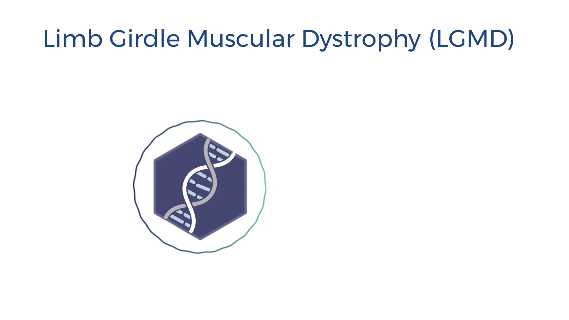 LGMD Animation 1: Diagnostic Algorithm on Vimeo