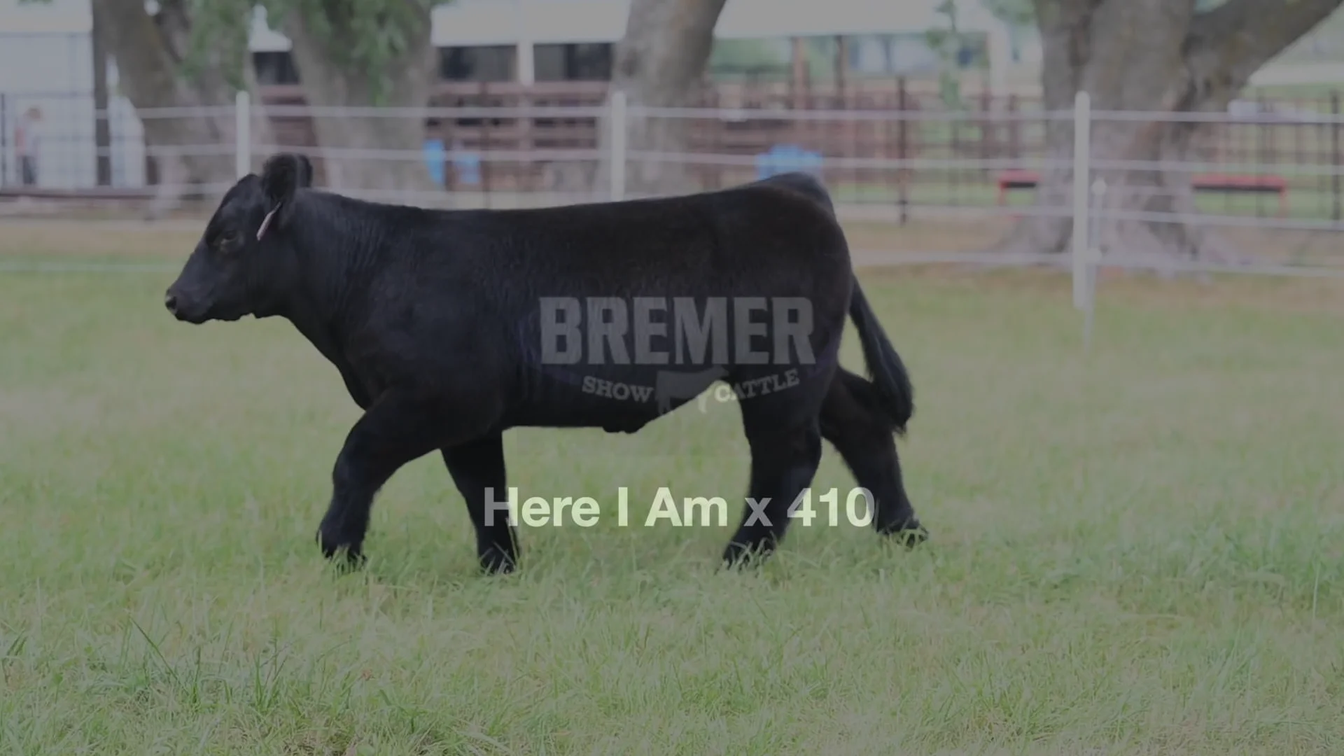 Bremer 26 on Vimeo
