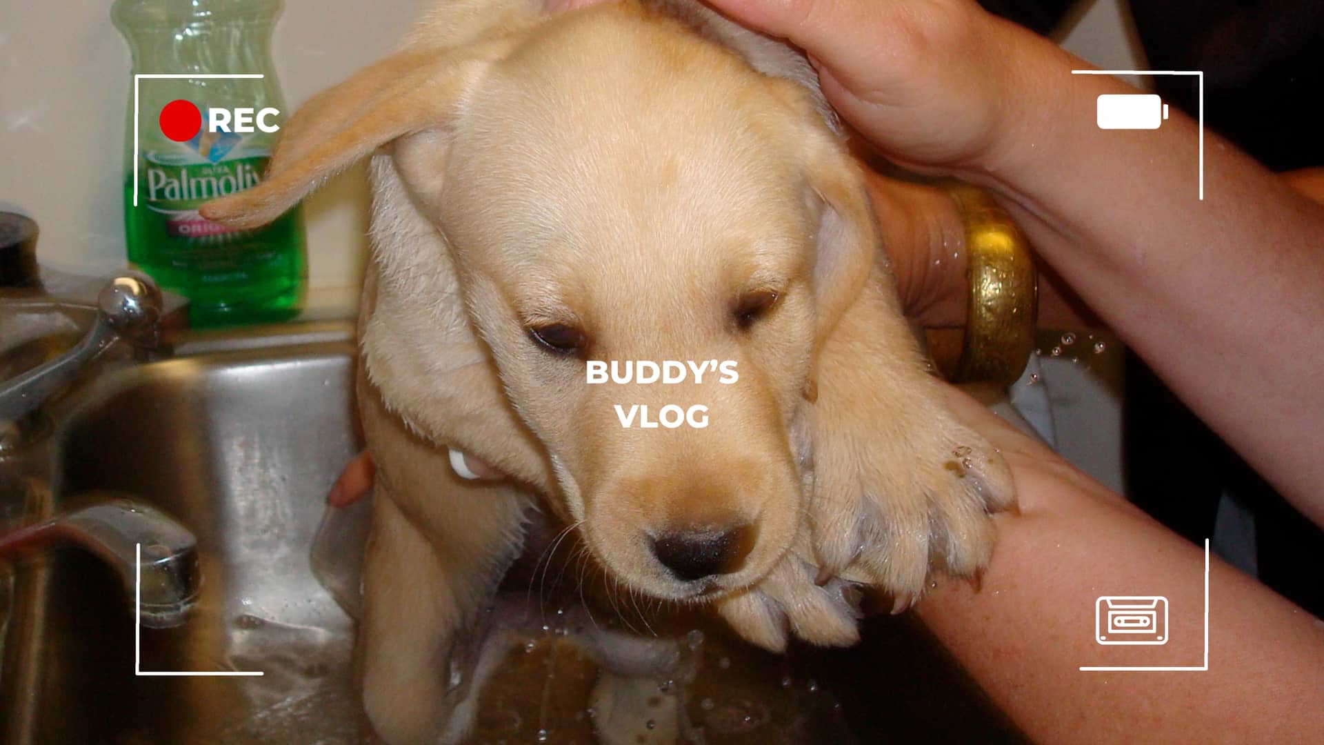 Buddy’s last vlog Stott Real Estate, Inc. on Vimeo