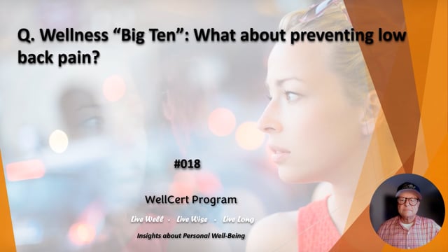 #018 Wellness "Big Ten": What about preventing low back pain?