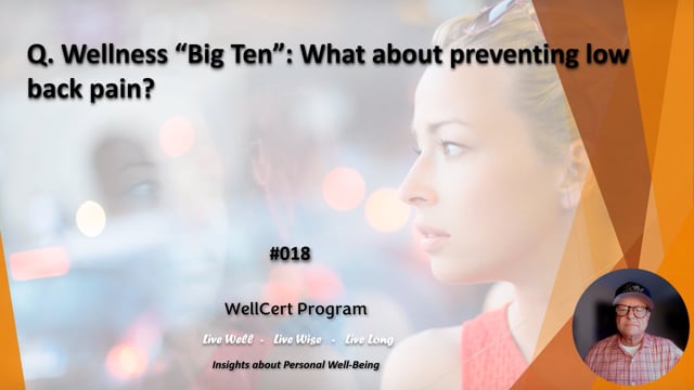 #018 Wellness "Big Ten": What about preventing low back pain?