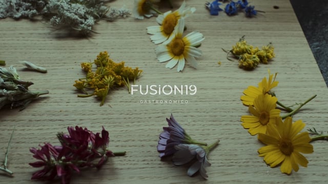 Fusion 14