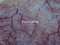 Fusion 13