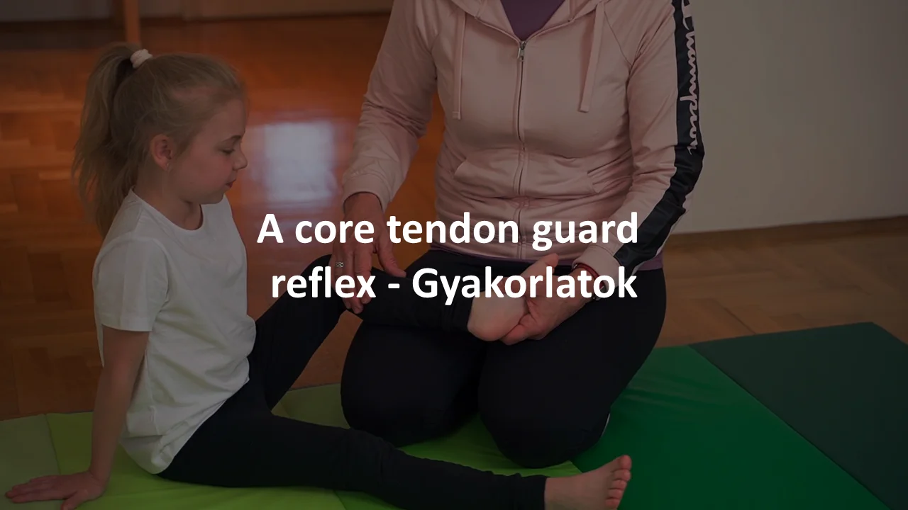 Watch A core tendon guard reflex - Gyakorlatok Online | Vimeo On Demand ...
