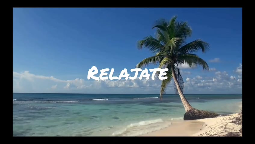 https://i.vimeocdn.com/video/1721951875-03a0d8caebd752569b1cb2c793a091f340550f832afd2a88ed41ee66f4f6422b-d