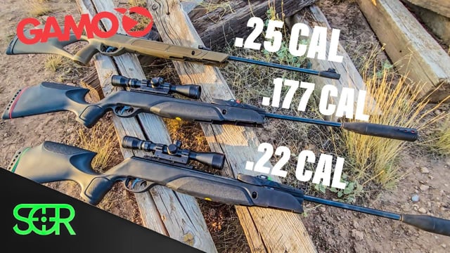 .177 Vs .22 Vs .25 - Gamo Power Test! - Airgun101