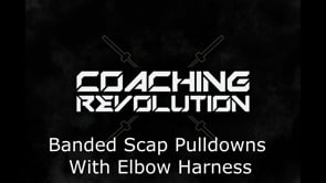 Banded Scap Pulldowns With Elbow Harness