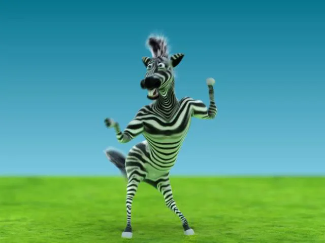 dancing zebra on Vimeo