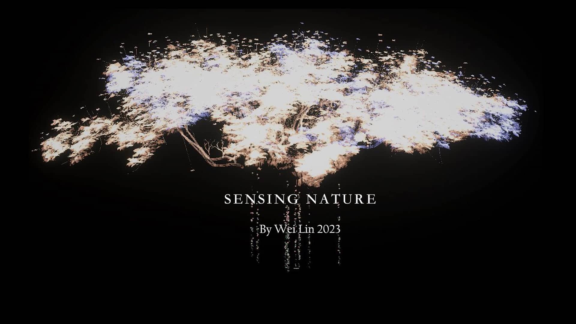 Sensing Nature on Vimeo